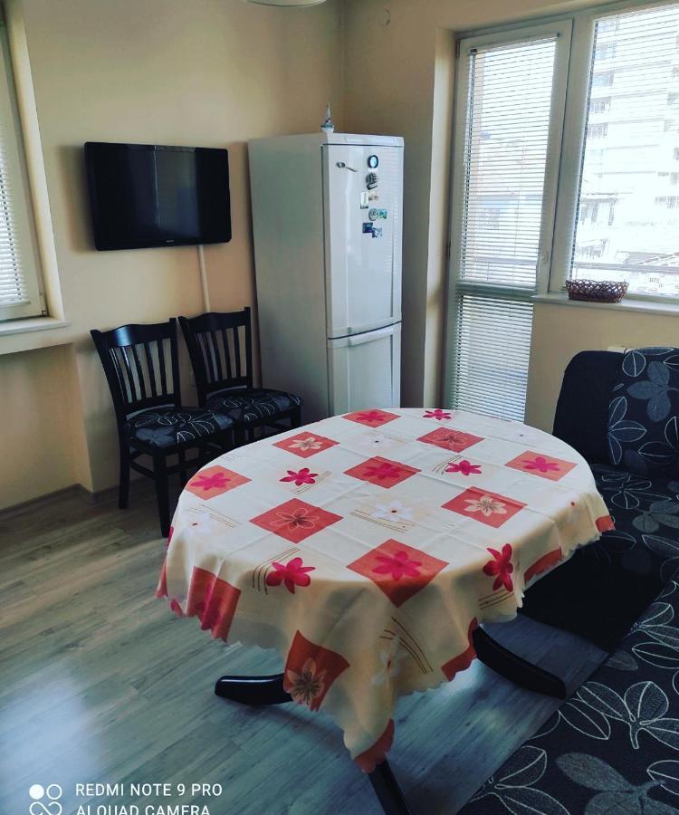 Pleven Sunny Apartment 外观 照片